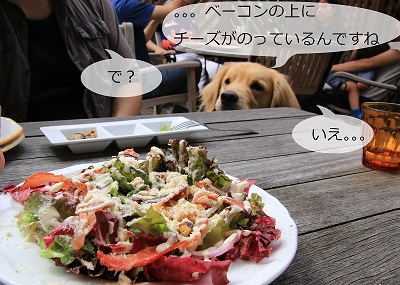 こー君　サーフィン