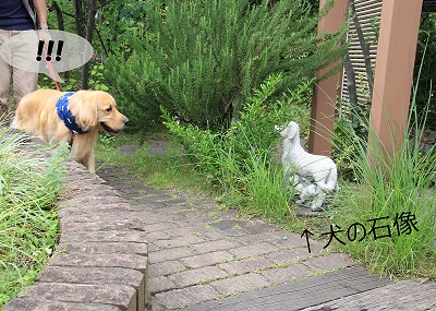 こー君　サーフィン