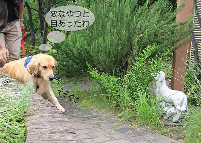 こー君　サーフィン