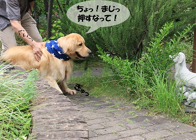 こー君　サーフィン