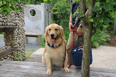こー君　サーフィン