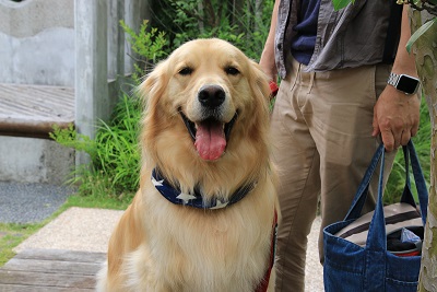 こー君　サーフィン