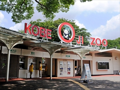 王子動物園タンタン