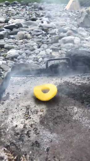 踊る パイナップル シュール 鉄板