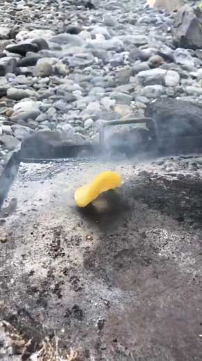 踊る パイナップル シュール 鉄板