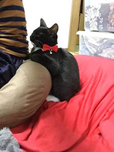 桃丸