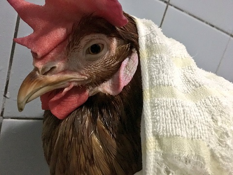 おすすめ