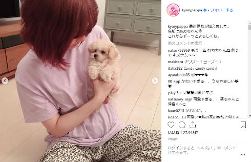 きゃりーぱみゅぱみゅ 犬 ペット あめちゃん 家族 Instagram