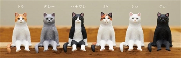 キタンクラブ・座る猫