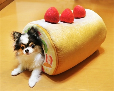 フェリシモ猫部・ロールケーキトンネル