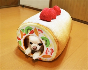 フェリシモ猫部・ロールケーキトンネル