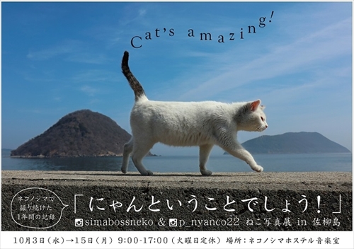 島猫写真展