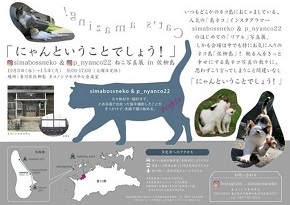 島猫写真展