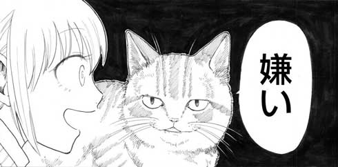 猫 お姉ちゃん 漫画 嫌い しゃべる 猫好き