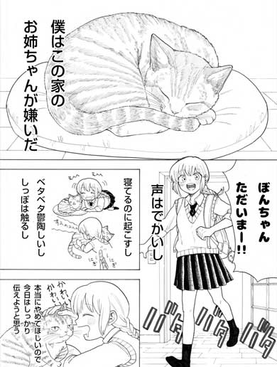 猫 お姉ちゃん 漫画 嫌い しゃべる 猫好き
