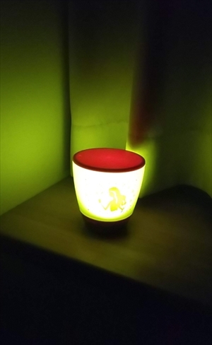 地震・停電体験記