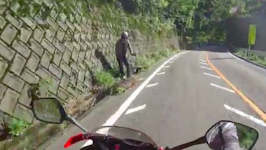 道志みち ライダー 良い話 交通整理 バイク