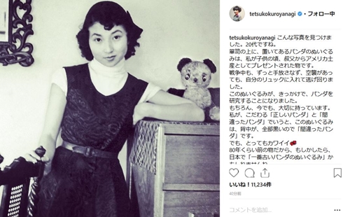 黒柳徹子 パンダ SUTEKI展 20代 ぬいぐるみ