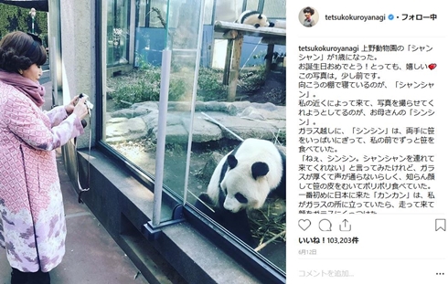 黒柳徹子 パンダ SUTEKI展 20代 ぬいぐるみ