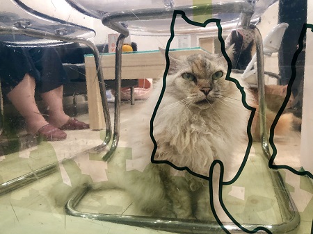 カールアップカフェ