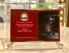 カールアップカフェ