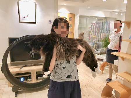 カールアップカフェ