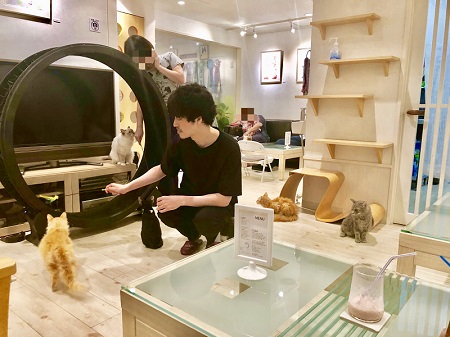 カールアップカフェ