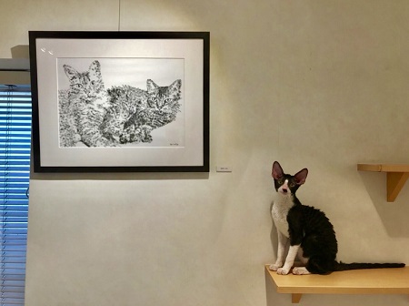 カールアップカフェ