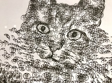 カールアップカフェ