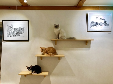 カールアップカフェ