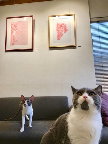 カールアップカフェ