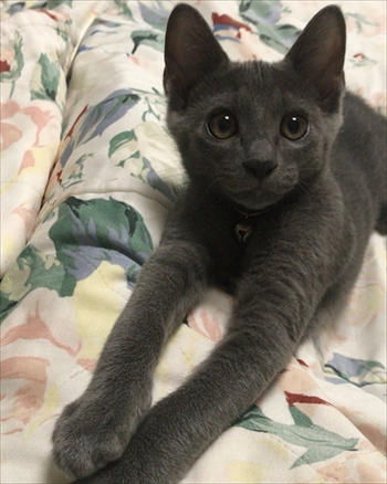 糸ちゃん半くん