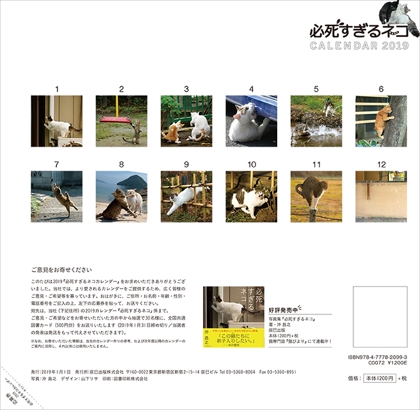 必死すぎるネコカレンダー