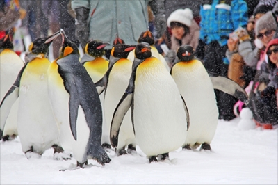 旅好きが選ぶ日本の動物園・水族館ランキング