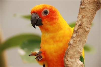 旅好きが選ぶ日本の動物園・水族館ランキング