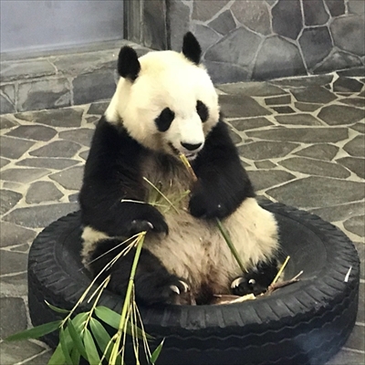 旅好きが選ぶ日本の動物園・水族館ランキング