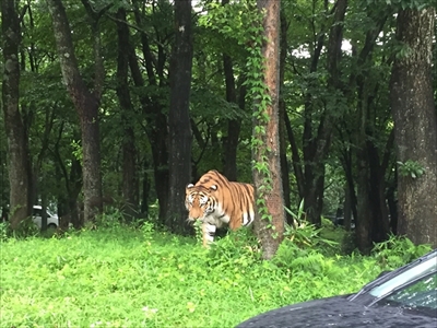 旅好きが選ぶ日本の動物園・水族館ランキング