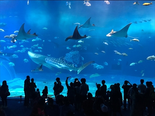 旅好きが選ぶ日本の動物園・水族館ランキング