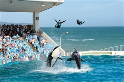 旅好きが選ぶ日本の動物園・水族館ランキング