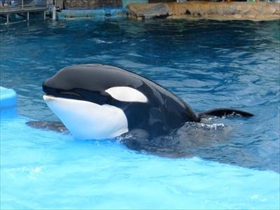 旅好きが選ぶ日本の動物園・水族館ランキング