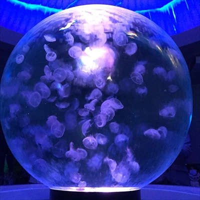 旅好きが選ぶ日本の動物園・水族館ランキング