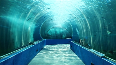 旅好きが選ぶ日本の動物園・水族館ランキング