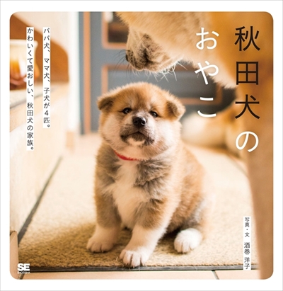 秋田犬のおやこ