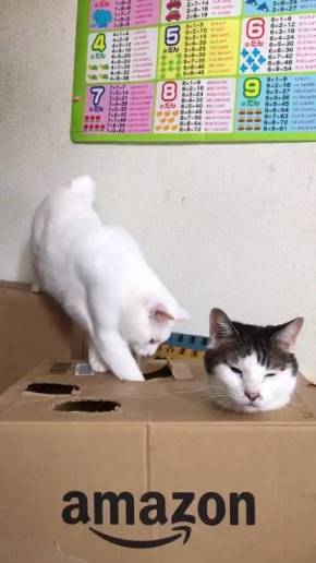 金太とゆきちー