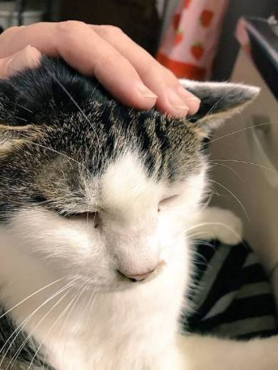 金太とゆきちー