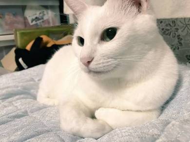 金太とゆきちー