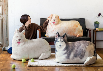 ワンコの布団ケース