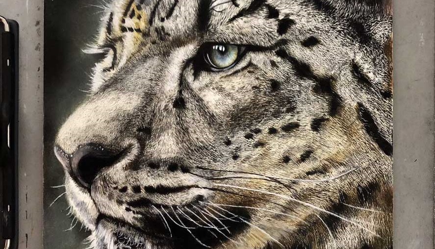 色鉛筆画A4 ヒョウ 色鉛筆画A4 ヒョウ | その他