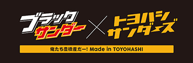 豊橋ブラックサンダーミニバー