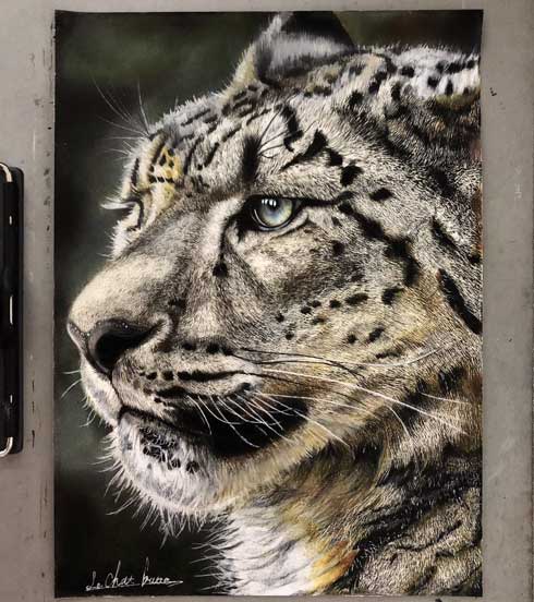 作家様 ユキヒョウ 豹 ヒョウ 絵画 水彩画 手描きイラスト 猫 原画 一点もの Snow leopard cub:96点を超えるロイヤリティフリーでライセンス